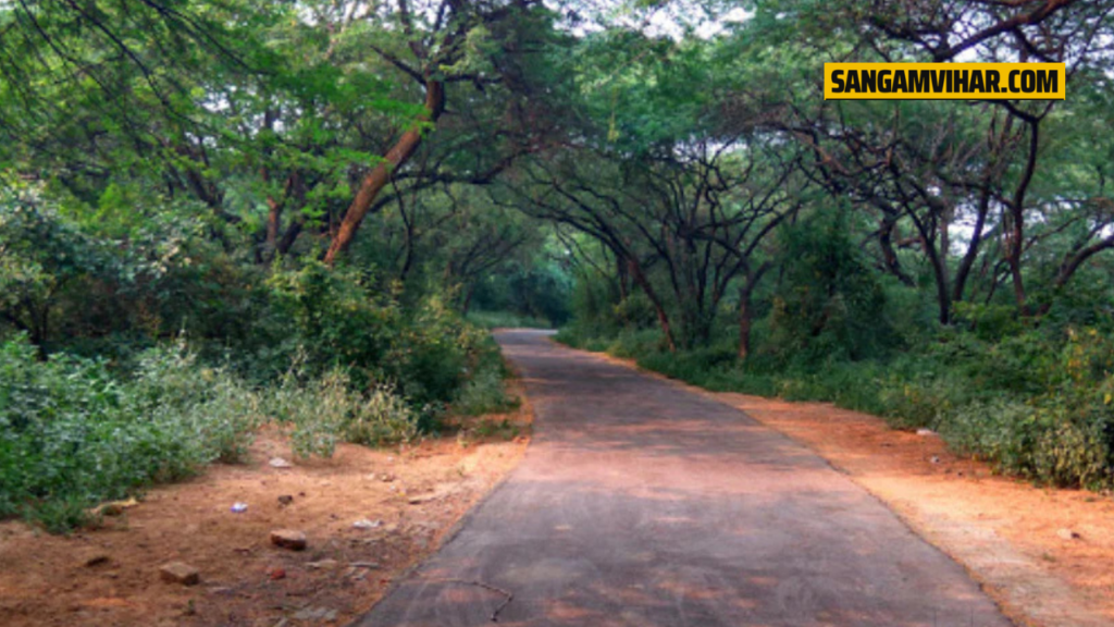 sangam-vihar-forest​